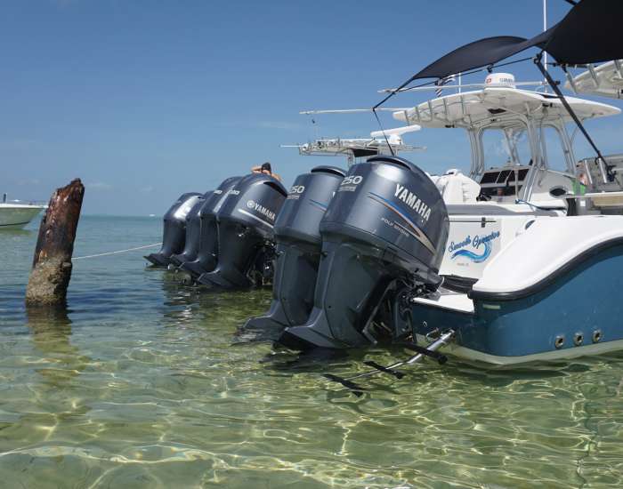 Smooth-Operator-Boat-Dock